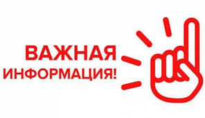Без имени